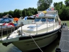 fruehling-2011-6