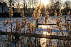 Winterliche Impressionen 2011-2012