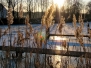Winterliche Impressionen 2011-2012
