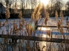 2012-02-06-20